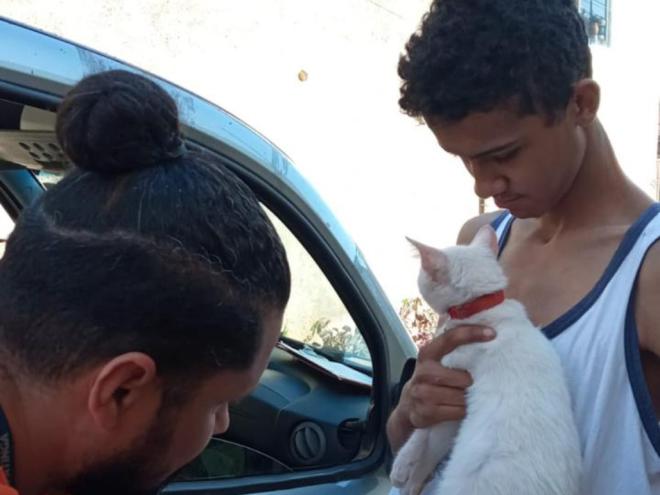 Tutores e seus animais já são atendidos de segunda a sexta-feira, das 7h30 às 15h30, no Zoonozes
