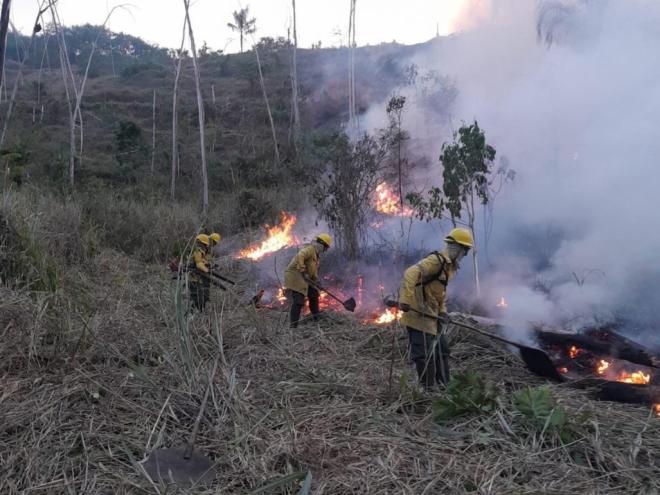 Perd mantém monitoramento constantemente e canal de denúncias para focos de incêndio