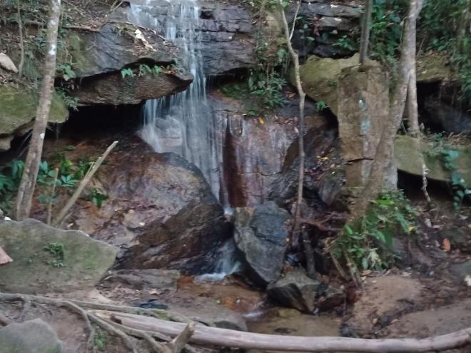 Área abriga pequenos animais silvestres, além de trilhas, cachoeiras e nascentes