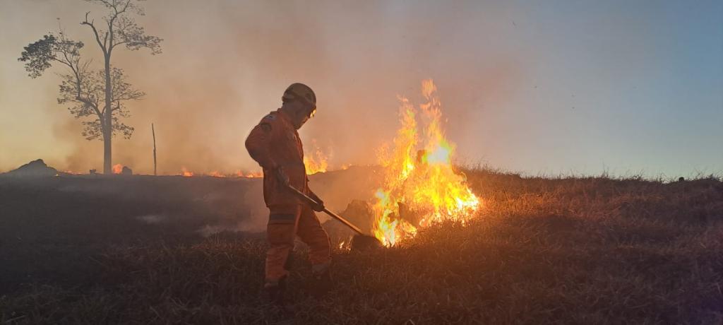 Incêndio começou domingo (28) e atingiu diversas propriedades particulares em uma área de amortecimento do Perd 