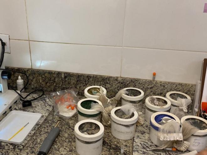 Investigação de casos é realizada pela Fundação Ezequiel Dias