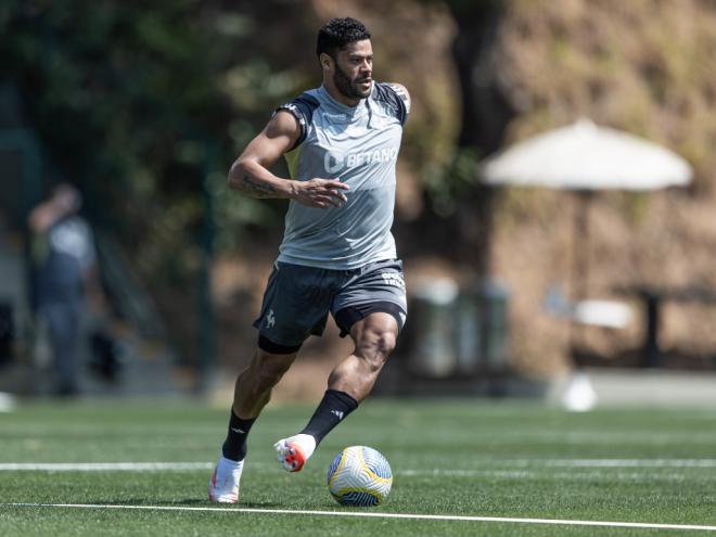 Hulk foi relacionado e pode aparecer entre os titulares na noite de hoje