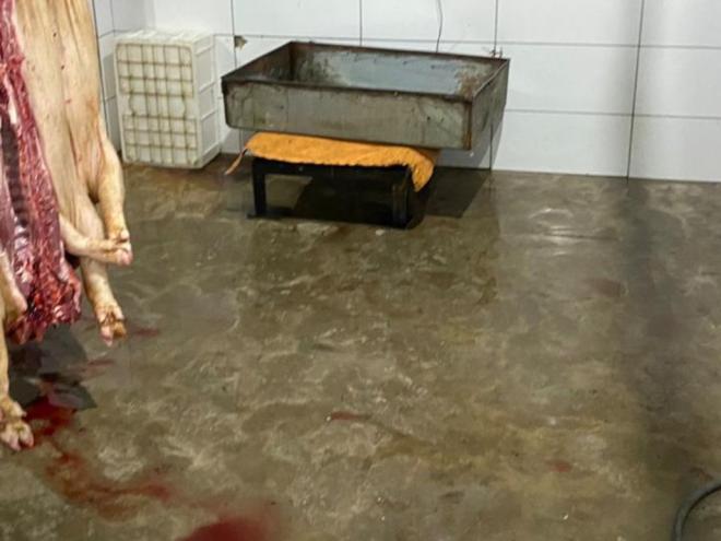 Polícia Civil deflagrou operação em matadouro supostamente irregular para apurar venda de carne em condições impróprias para o consumo e danos ao meio ambiente 
