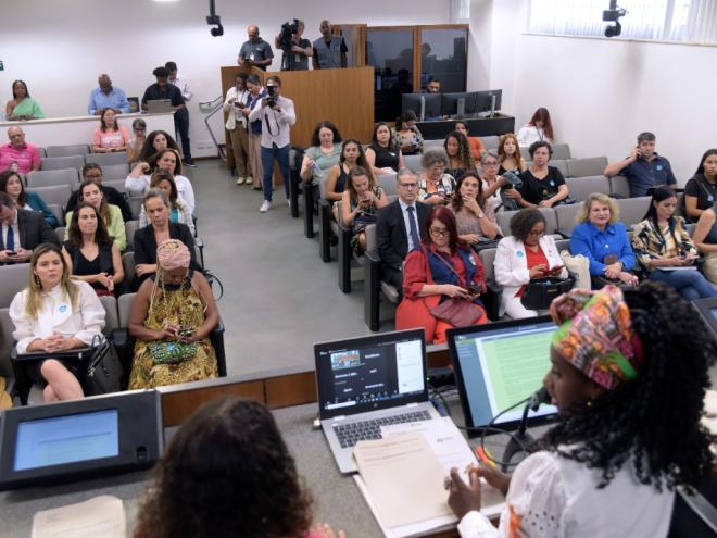 Comissão de Direitos Humanos e Comissão de Defesa dos Direitos da Mulher - debate sobre desafios no enfrentamento à violência política de gênero e à violência moral e sexual no serviço público. Foto: Daniel Protzner