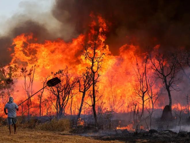 Cerca de 3 mil hectares do Parque Nacional de Brasília, uma unidade de conservação de Cerrado nativo e abundante em nascentes de água, administrada pelo Instituto Chico Mendes de Conservação da Biodiversidade (ICMBio), já foram consumidos pelo fogo