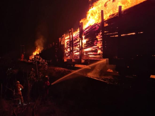 Incêndio nos vagões com eucalipto, na EFVM, foi detectado por volta de 17h de quarta-feira e só foi encerrado na madrugada de hoje