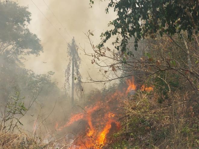 Fogo consumiu grande área de vegetação