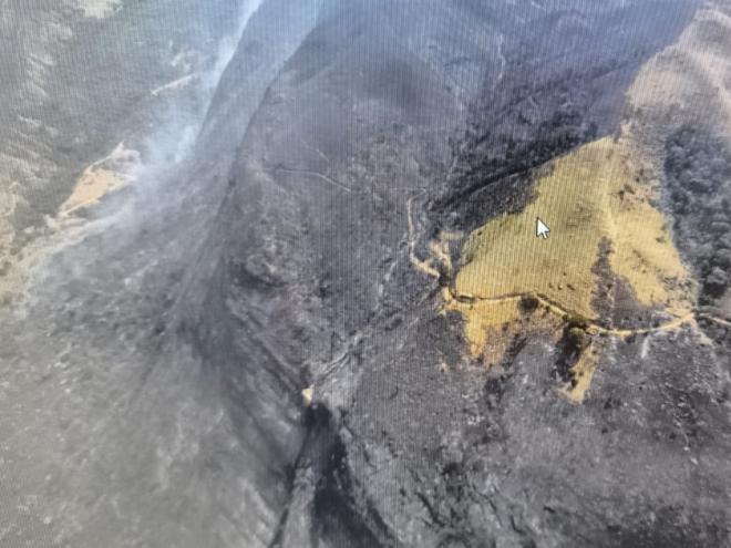 Grande área verde foi consumida pelas chamas