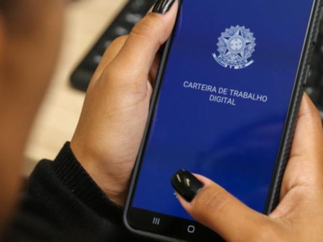 Disponível na internet, Painel de Informações sobre o sistema mostra número de oportunidades por ocupação e município