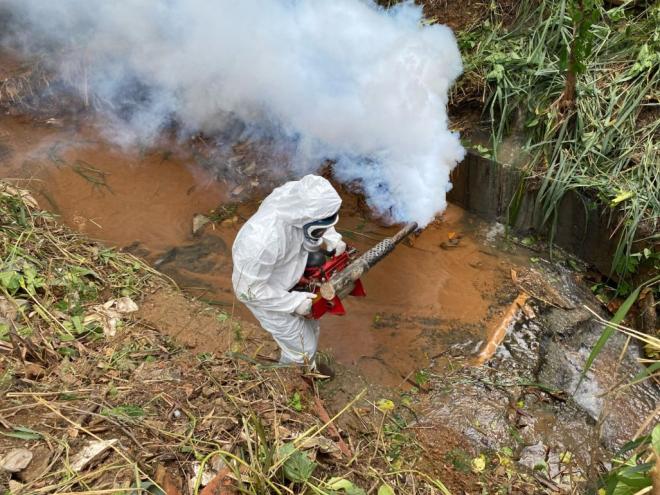 A mobilização visa conscientizar a população sobre a importância da prevenção ao Aedes aegypti