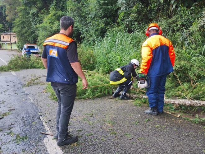 Equipe do Gave da Defesa Civil de Nova Era levaram em torno de 40 minutos para desobstruir o trecho