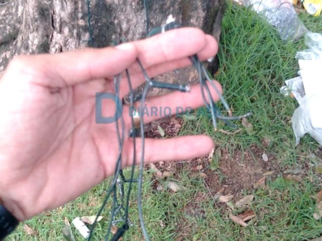 Os fios elétricos da decoração de Natal estavam sendo furtados na Praça 1º de Maio