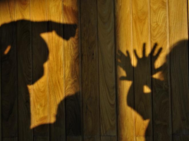 Ano começa com 110 casos de violência doméstica e familiar na RMVA