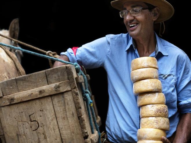Iniciativa celebra o Dia Mundial do Queijo em várias regiões 