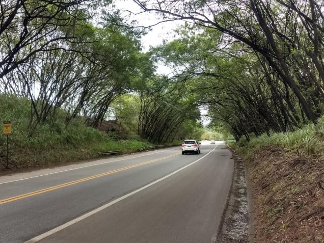 O contorno rodoviário será duplicado a partir do trevo de Cachoeira do Vale, em Timóteo, até o trecho sob a 