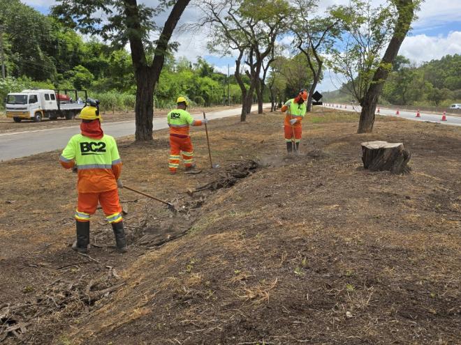 De terça-feira a domingo BR-381 terá atividades de manutenção entre GV e BH