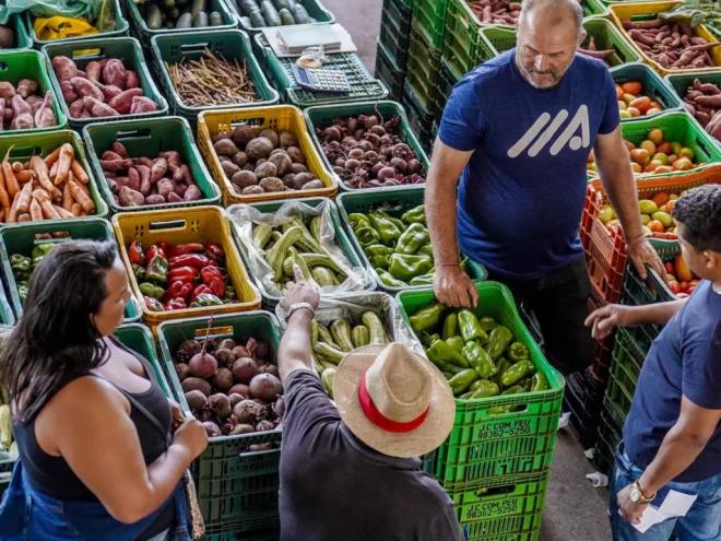 Café e tomate exerceram principais pressões alimentícias em janeiro