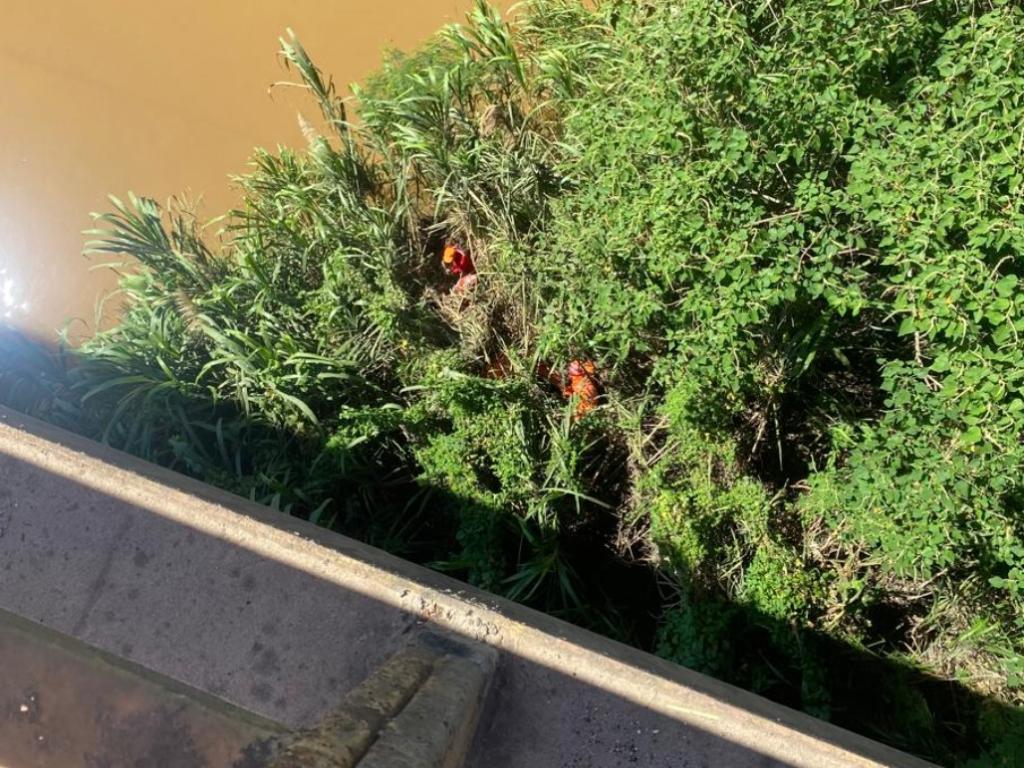 A equipe dos Bombeiros teve abrir uma trilha improvisada para chegar ao local onde a mulher estava caída, à margem do rio 