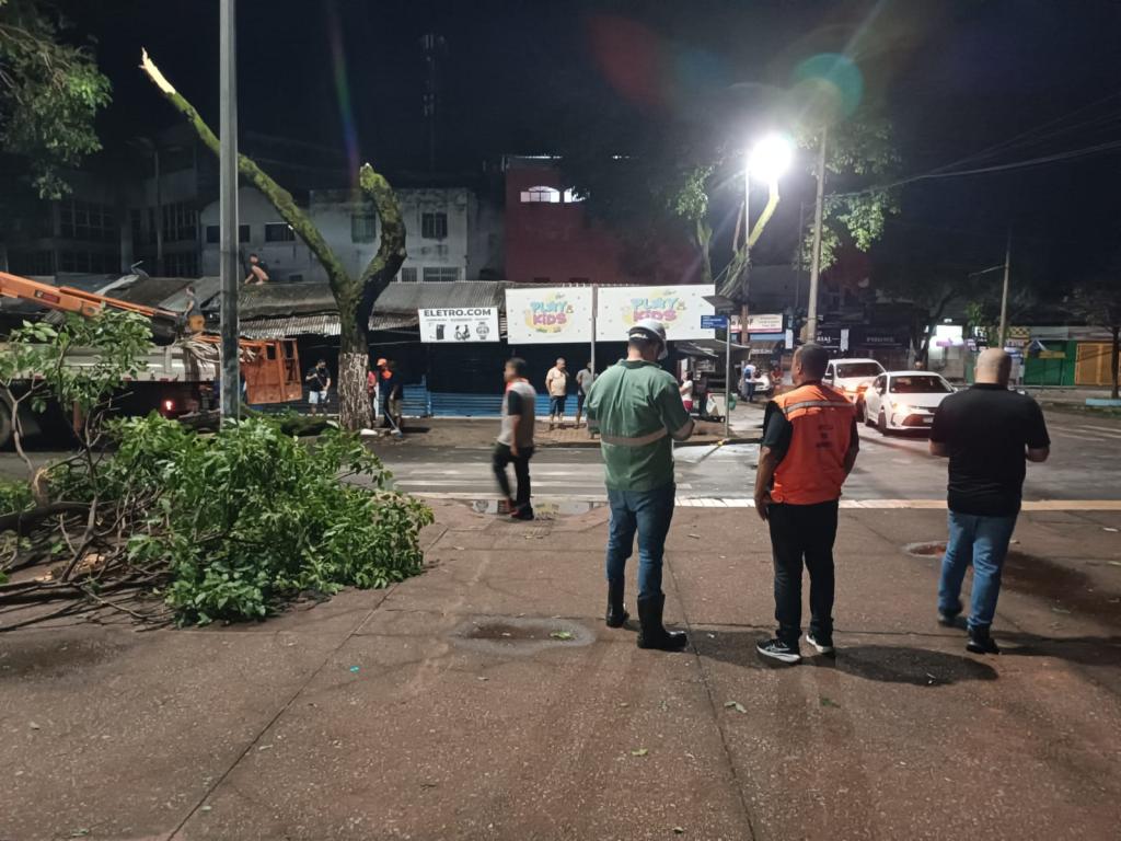 Equipes atuam no local da queda de árvore, no Centro de Ipatinga 