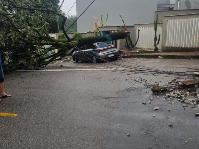 Na rua Vitorino Pereira, Imbaúbas, árvore caiu sobre um carro e arrastou os cabos da rede elétrica, derrubando também um poste 