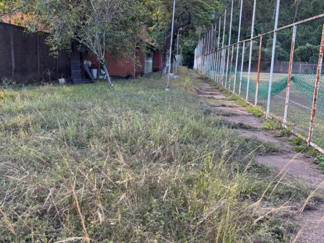 O mato tomou conta das áreas em frente aos vestiários e departamento médico
