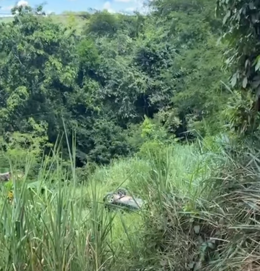 Carro estava caído no meio do mato à margem da BR-458 