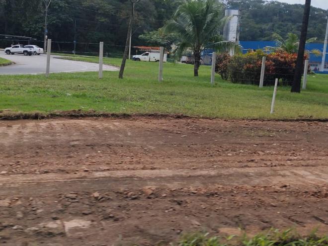 Parte da jardinagem do canteiro central já foi desfeita para o andamento da obra 
