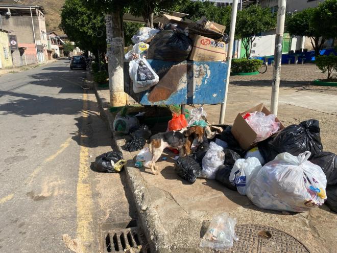 Lixo doméstico é depositado nas ruas sem separação, ficando exposto a cachorros e outros animais 