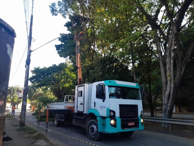 Administração pública vai suprimir árvore cujas raízes estão comprometendo a estrutura lateral da galeria pluvial existente no local