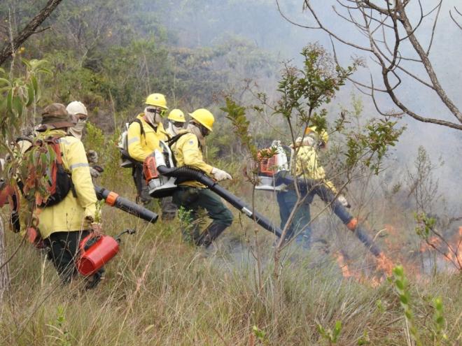 Brigadistas participam de atividade de queima prescrita para prevenção de incêndios florestais