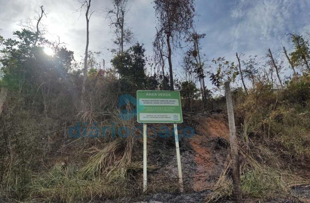 Fogo iniciado em lote acabou por atingir área de preservação 