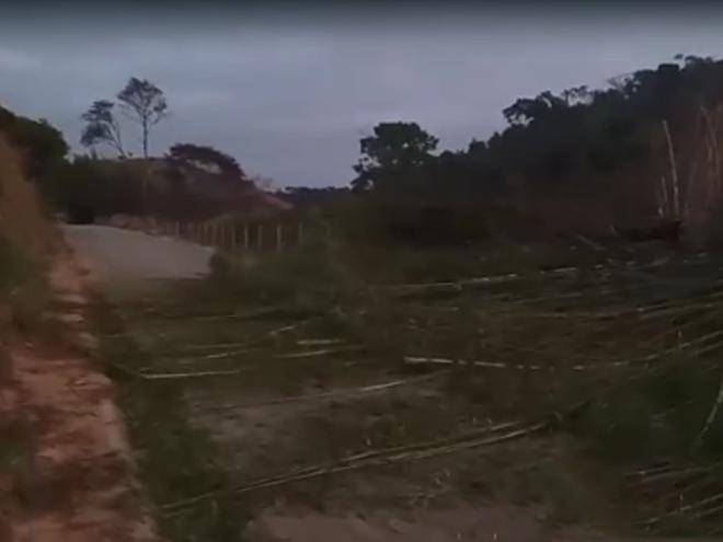 Destaque DA