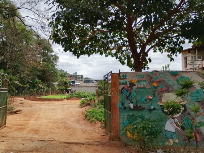 Qualquer pessoa interessada pode contribuir com os trabalhos da associação ambientalista 