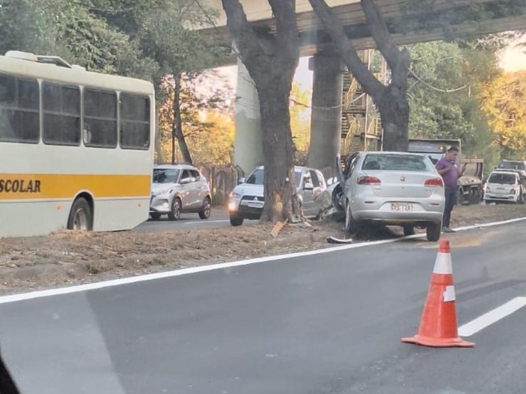 Siena foi parar no canteiro central e atingiu duas árvores 