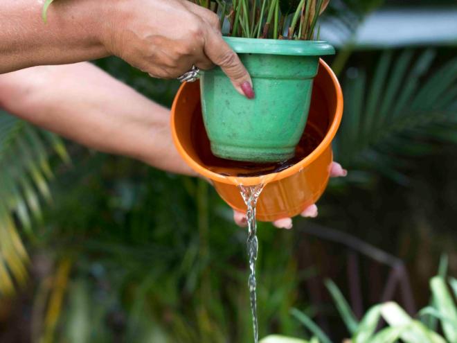 Cuidados com recipientes que podem conter água parada é uma das formas de prevenir a proliferação do mosquito transmissor