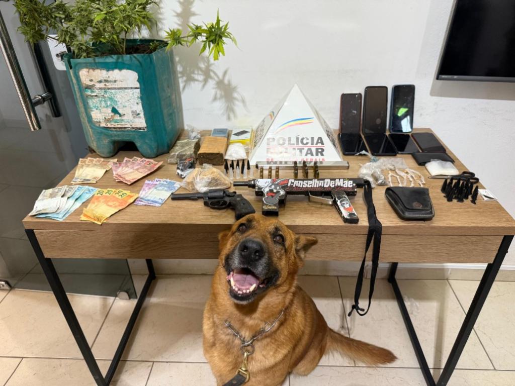 Material apreendido na operação da qual participou o cão de faro 