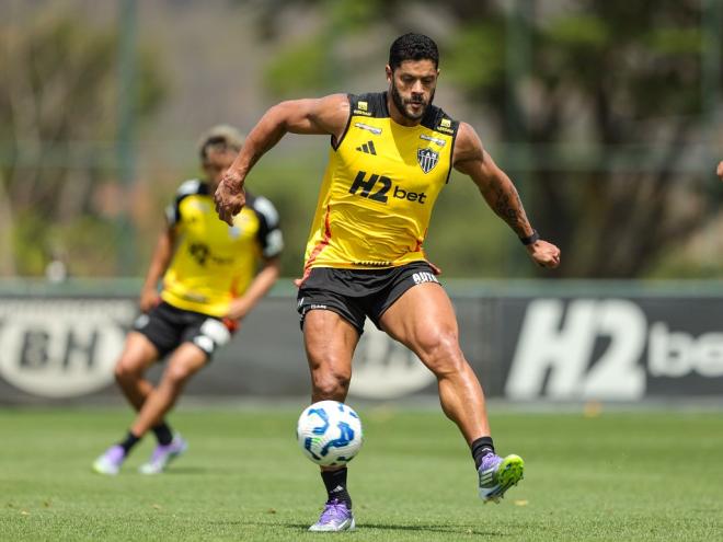 Galo tenta dar fim a longo período sem vitórias