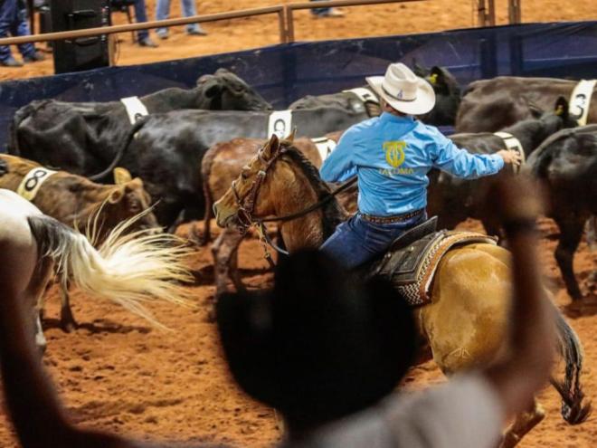 O ranch sorting é uma modalidade esportiva do universo do trabalho com gado
