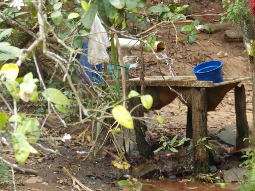 Área rural do Ipaneminha tem abundância hídrica