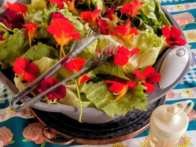 Comunidade interessada em sustentabilidade e alimentação saudável pode participar do encontro
