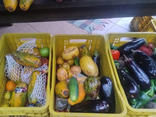 Alimentos são levados para bairros carentes de Timóteo    