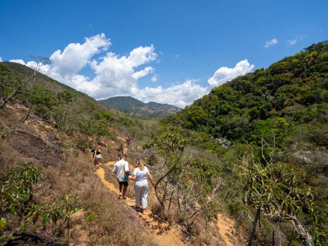 A região do parque municipal tem árvores nativas da Mata Atlântica e vegetação típica do Cerrado