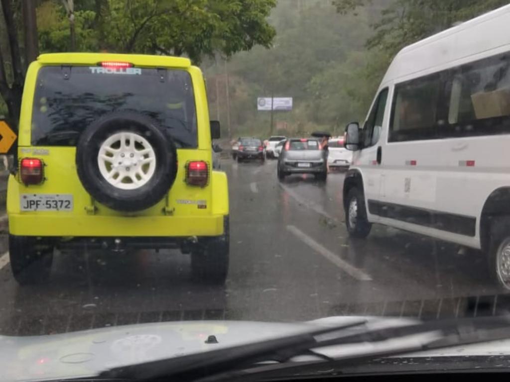 Queda de árvore gerou transtorno no trânsito ipatinguense