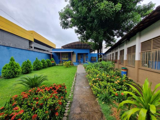 Jardim criado na escola tem manutenções e cuidados feitos pelos próprios alunos