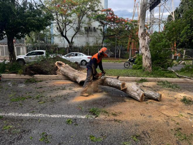 Equipes de operários foram mobilizadas em toda a cidade 