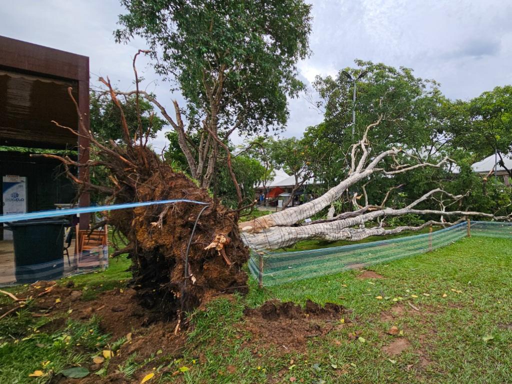 A força das rajadas de vento, que passou de 80 km/h, provocou danos materiais e ambientais    