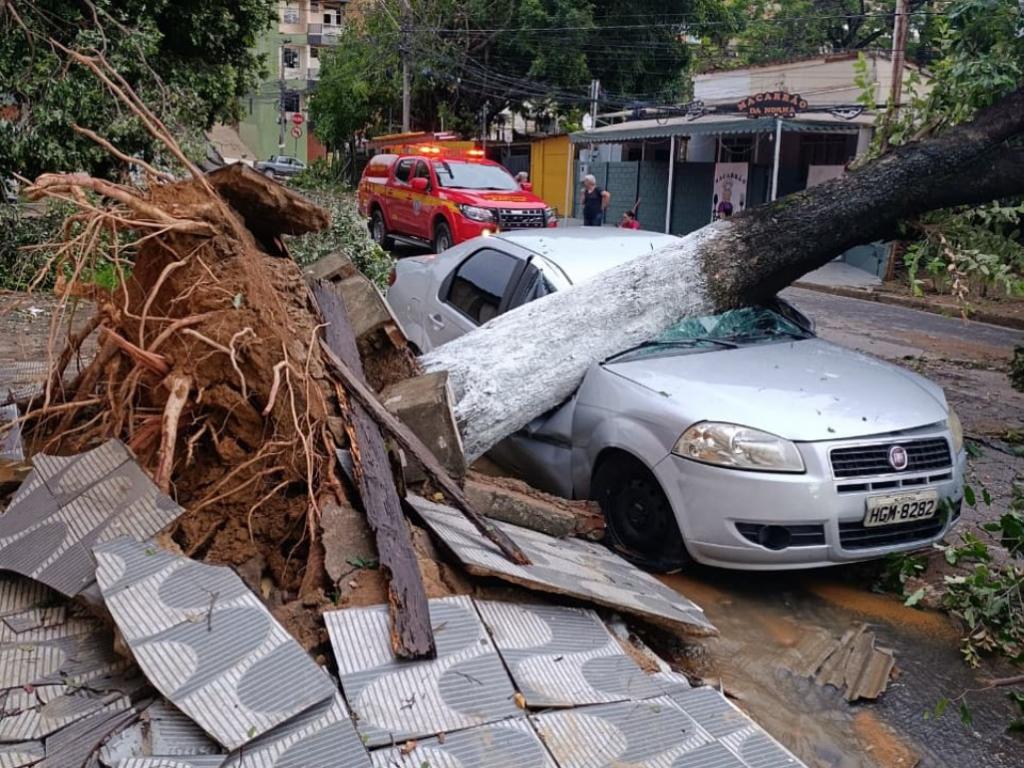 Na rua Raimundo Nonato, bairro Jardim Panorama, a queda de uma árvore destruiu um Fiat Siena, que estava estacionado, destruiu a rede elétrica e uma casa foi atingida 