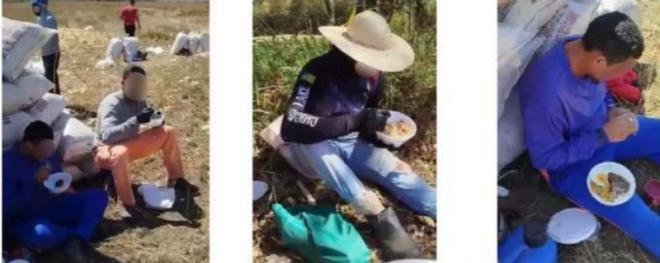 Os trabalhadores foram resgatados durante operação realizada em 6 de outubro de 2025, por força-tarefa composta por auditores-fiscais do trabalho, Polícia Federal e MPT