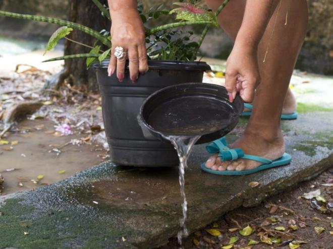 Nas quatro principais cidades da região foram contabilizados 239 casos de dengue, sem mortes