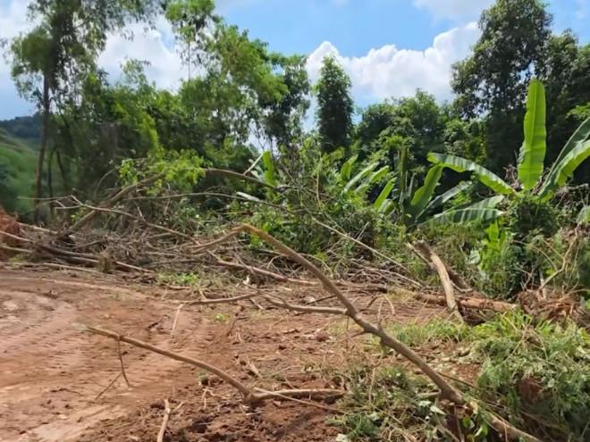 Polícia ambiental paralisou intervenção em área protegida em Timóteo